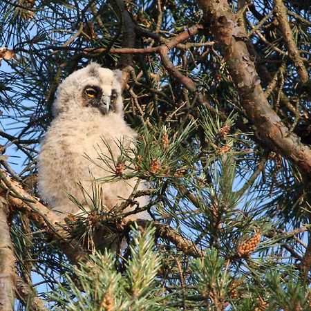 Ferienwohnung Ostseewald Rostock Zewnętrze zdjęcie